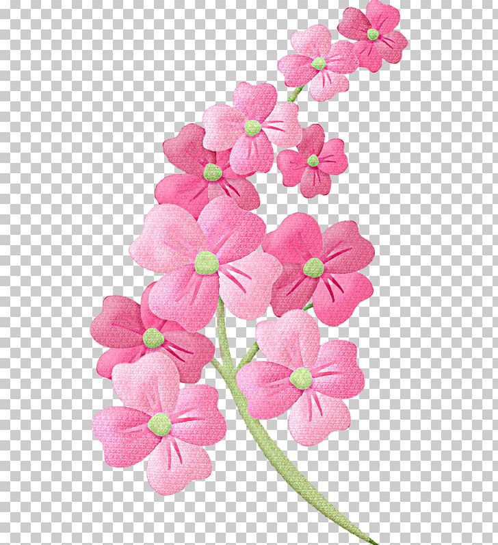 Flower Floral Illustrations PNG, Clipart, Blossom, Branch, Cherry Blossom, Cut Flowers, Decoupage Free PNG Download