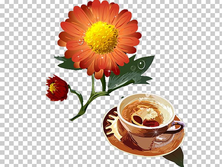 Chrysanthemum Transvaal Daisy PNG, Clipart, Animation, Beautiful, Chrysanthemum Chrysanthemum, Chrysanthemums, Daisy Family Free PNG Download