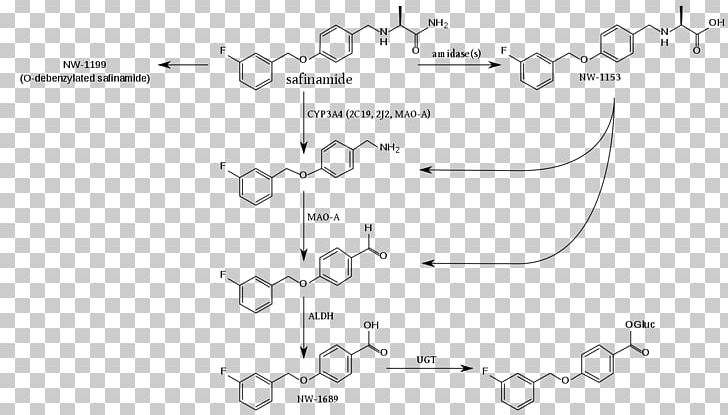 Fenbufen Metabolite Safinamide Coenzyme A Metabolism PNG, Clipart, Angle, Area, Black And White, Circle, Coenzyme Free PNG Download