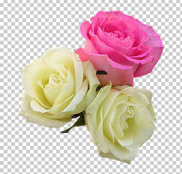 Flower Garden Roses PNG, Clipart, Artificial Flower, Beach Rose, Blog, Computer Icons, Cut Flowers Free PNG Download