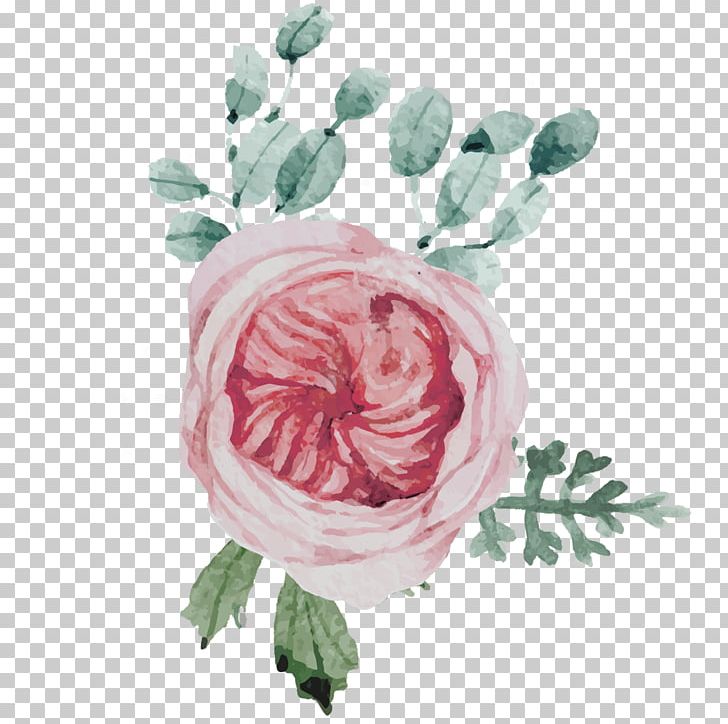 Garden Roses Flower Floral Design Centifolia Roses PNG, Clipart, Blog, Centifolia Roses, Cut Flowers, Floral Design, Floristry Free PNG Download