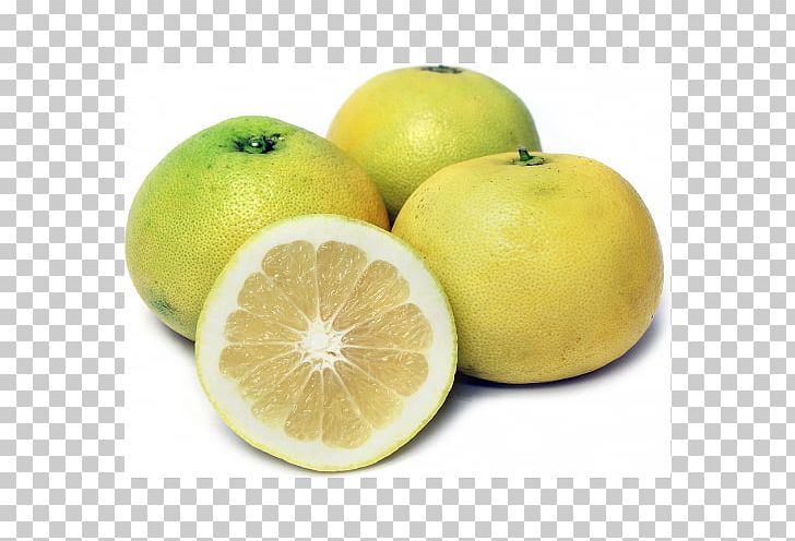 Grapefruit Lemon-lime Drink Key Lime Persian Lime PNG, Clipart, Bitter Orange, Citric Acid, Citron, Citrus, Citrus Junos Free PNG Download