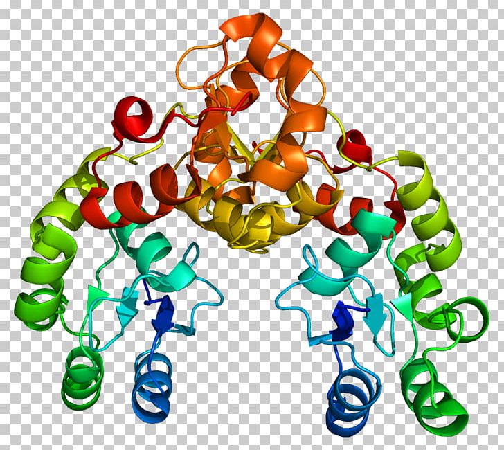 MDC1 ATM Serine/threonine Kinase Protein H2AFX MRN Complex PNG, Clipart, Ado, Amino Acid, Artwork, Atm Serinethreonine Kinase, Body Jewelry Free PNG Download