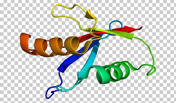 PRKCI Protein Kinase C PKC Alpha PNG, Clipart,  Free PNG Download