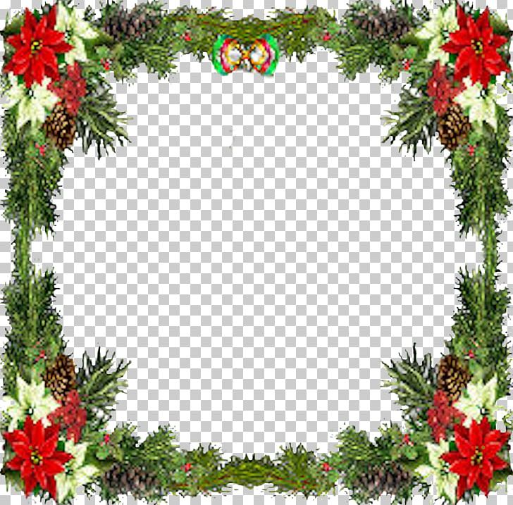 Christmas Frames W.T.P. New Year PNG, Clipart, Aquifoliaceae, Aquifoliales, Branch, Christmas Card, Christmas Decoration Free PNG Download