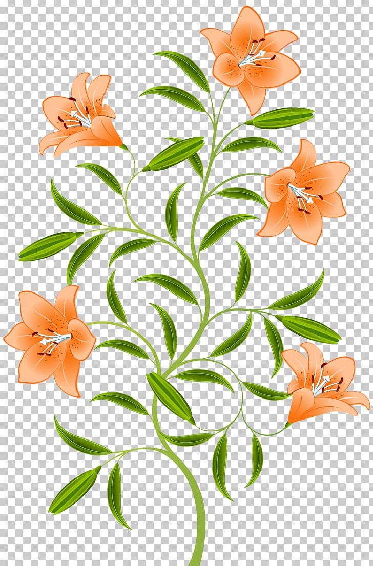 Orange Lilium Bulbiferum Hemerocallis Fulva Tiger Lily PNG, Clipart, Branch, Clipart, Cut Flowers, Design, Floral Design Free PNG Download
