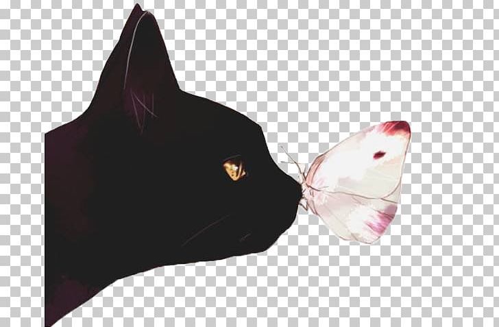 Black Cat Kitten Butterfly Illustration PNG, Clipart, Animal, Art, Biological Illustration, Black, Butterflies Free PNG Download