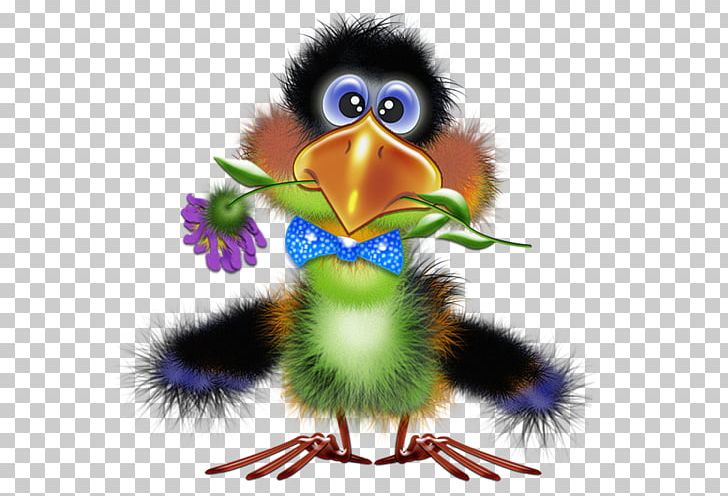 Bird Illustrations Drawing Funny Animal PNG, Clipart, Animaatio, Animals, Animated Cartoon, Animation, Beak Free PNG Download