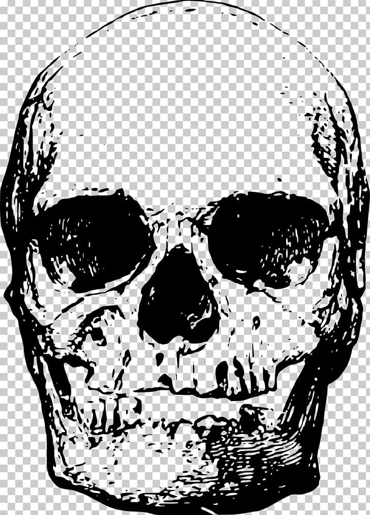 Skull PNG, Clipart, Black And White, Bone, Computer Icons, Download, Drawing Free PNG Download