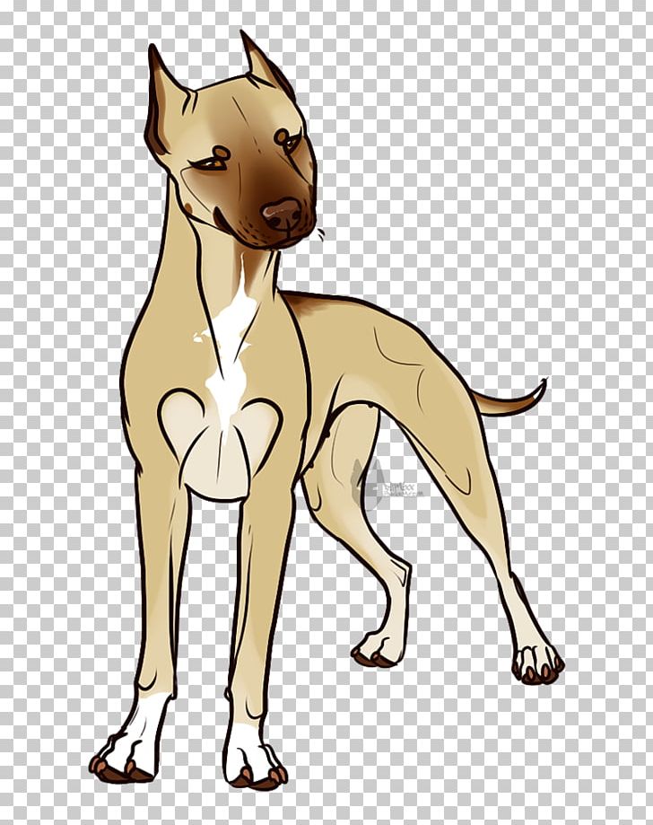 Whiskers Italian Greyhound Dog Breed Cat PNG, Clipart, Animals, Big Cat, Big Cats, Breed, Bull Terrier Free PNG Download