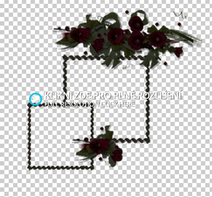 Flowering Plant Tree PNG, Clipart, Flower, Flowering Plant, Nature, Plant, Tree Free PNG Download