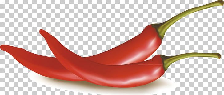 Pepper Drawing PNG, Clipart, Birds Eye Chili, Cayenne Pepper, Chili Pepper, Christmas Decoration, Decor Free PNG Download