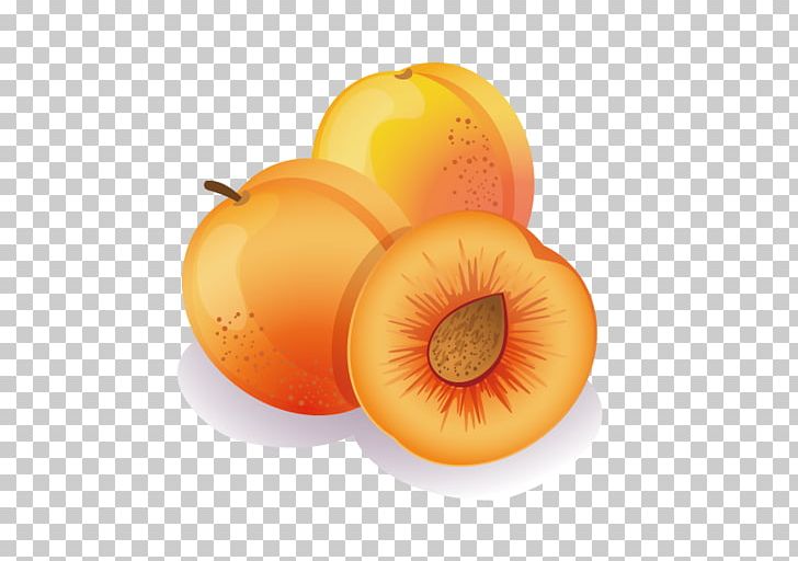 Apricot Fruit Peach PNG, Clipart, Cartoon, Coloring Book, Computer Wallpaper, Diet Food, Dried Apricot Free PNG Download