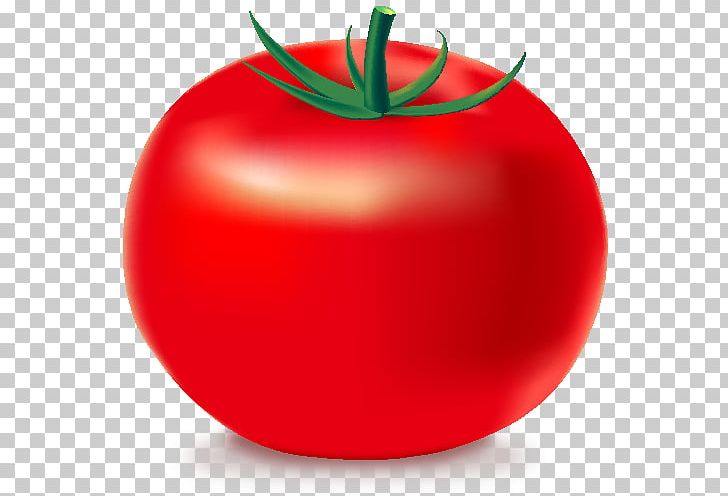 Tomato Jambalaya Computer Icons Vegetable PNG, Clipart, Apple, Bell Pepper, Bell Peppers And Chili Peppers, Bush Tomato, Capsicum Free PNG Download