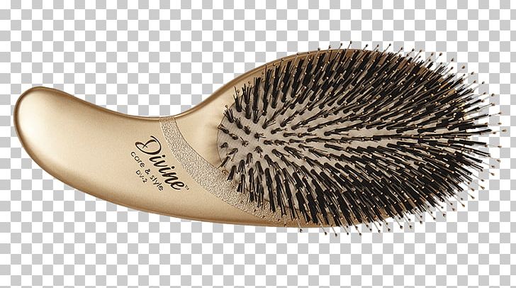 Hairbrush Bristle Wild Boar PNG, Clipart, Bristle, Brush, Capelli, Ceramic, Color Free PNG Download