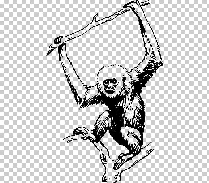 Primate Gorilla Gibbon Monkey PNG, Clipart, Art, Artwork, Beak, Bird, Black And White Free PNG Download
