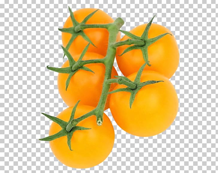 Tomato Juice Cherry Tomato Pumpkin Tomato PNG, Clipart, Bush Tomato, Display Resolution, Download, Food, Food Drinks Free PNG Download