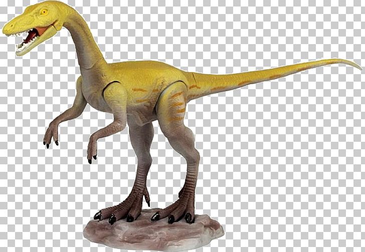 Velociraptor Tyrannosaurus Apatosaurus Coelophysis Giganotosaurus PNG, Clipart, Allosaurus, Animal Figure, Apatosaurus, Coelophysis, Corythosaurus Free PNG Download