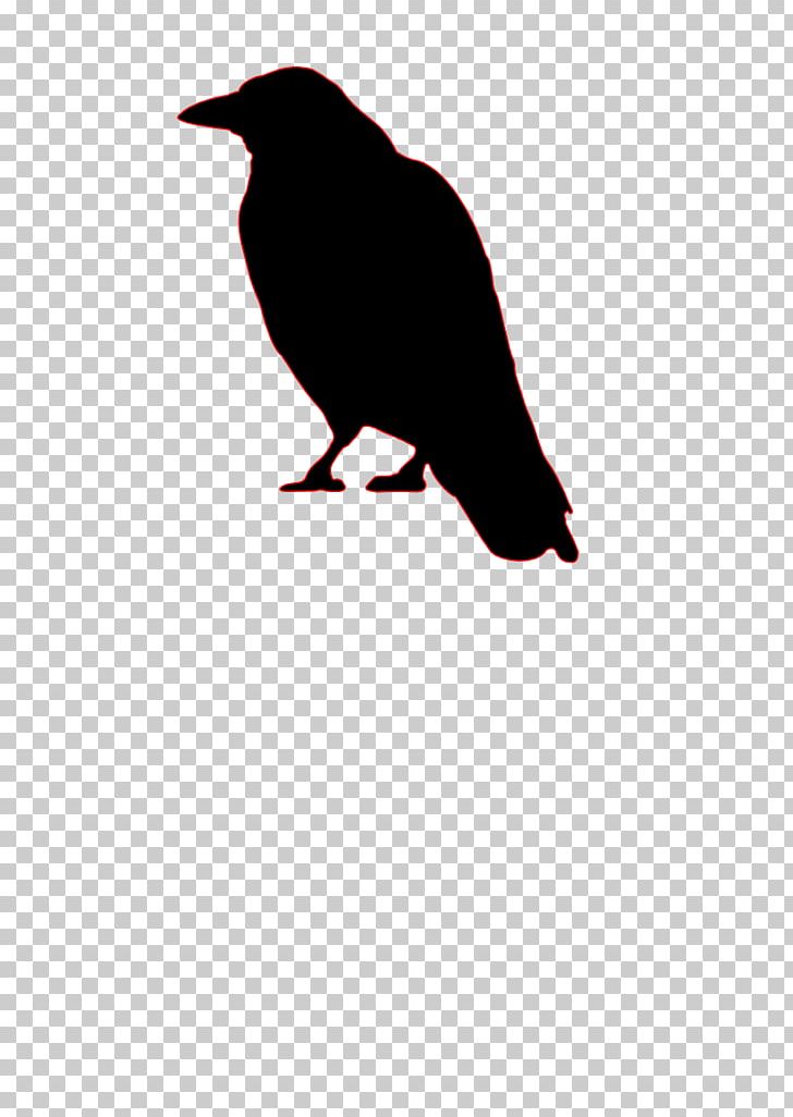 Bird Common Raven Crow Silhouette PNG, Clipart, Animals, Animaux, Art, Beak, Bird Free PNG Download