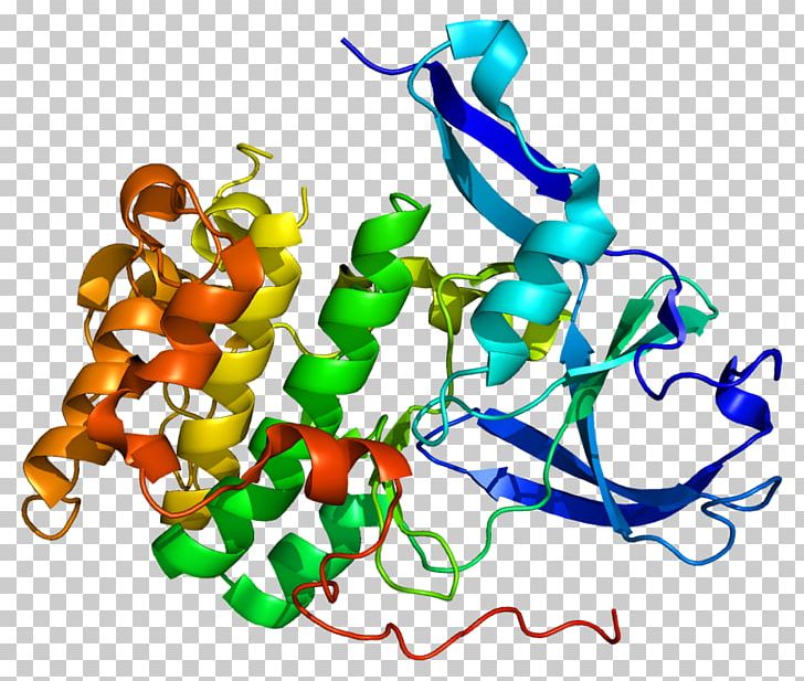 Ribosomal Protein S6 Protein Kinase Ribosomal S6 Kinase RPS6KA5 PNG, Clipart, Antibody, Area, Art, Artwork, Gene Free PNG Download