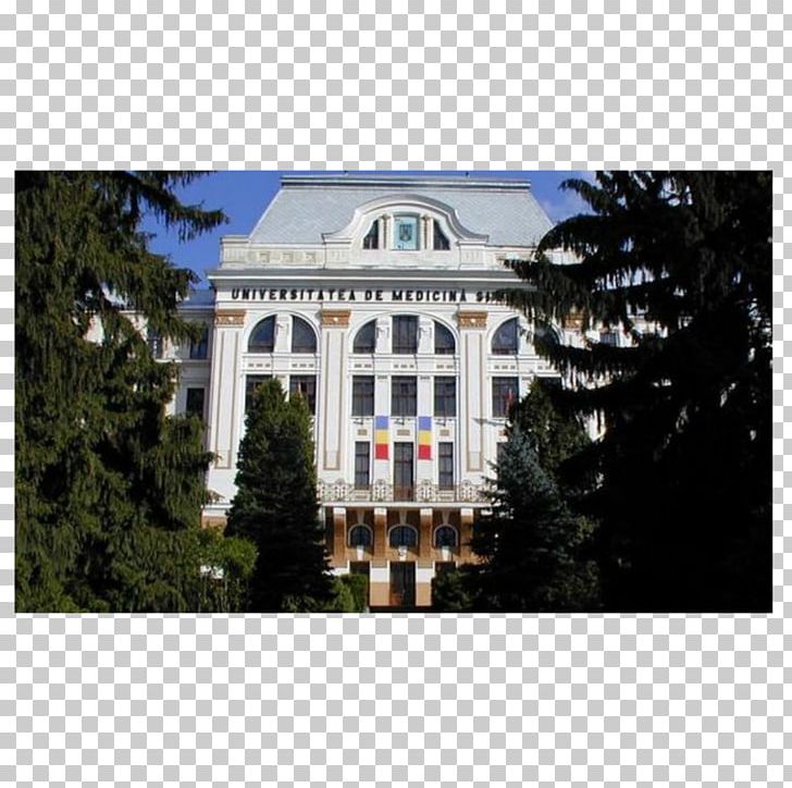 University Of Medicine And Pharmacy Of Târgu Mureș Petru Maior University Of Târgu Mureș 1 Decembrie 1918 University PNG, Clipart, Anatomy, Building, Education, Estate, Facade Free PNG Download