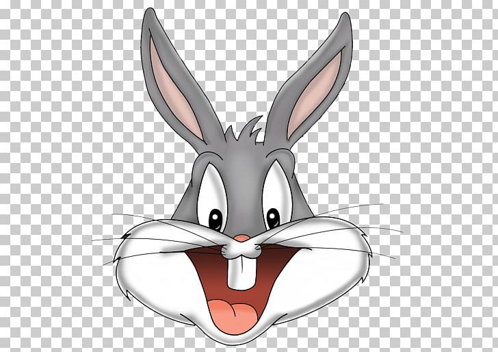 Bugs Bunny Lola Bunny Hare Rabbit PNG, Clipart, Animals, Animation, Automotive Design, Bugs Bunny, Bunny Rabbit Free PNG Download