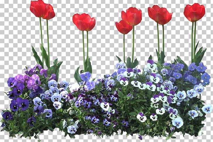 Flower PNG, Clipart, Anemone, Annual Plant, Bellflower Family, Cut Flowers, Download Free PNG Download