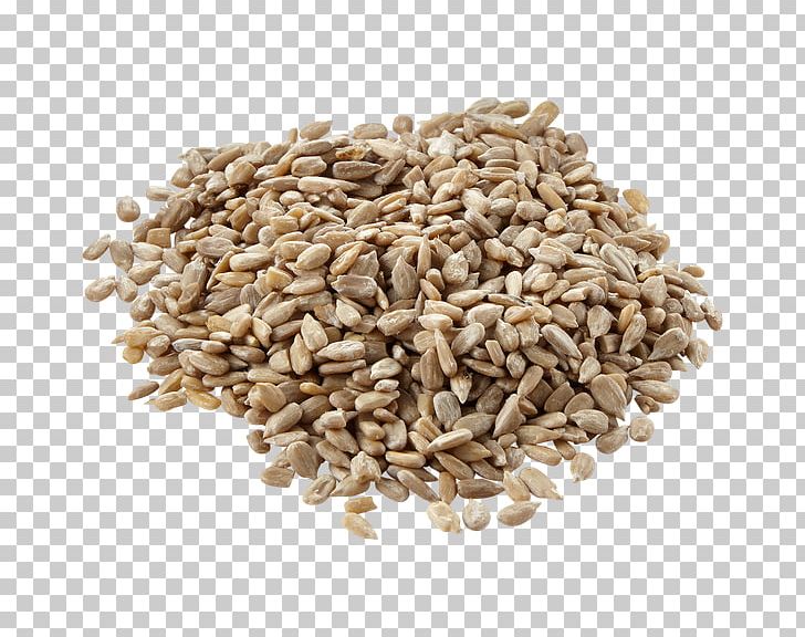 Nut Vegetarian Cuisine Cereal Germ Whole Grain Seed PNG, Clipart, Cereal Germ, Commodity, Embryo, Food, Food Grain Free PNG Download
