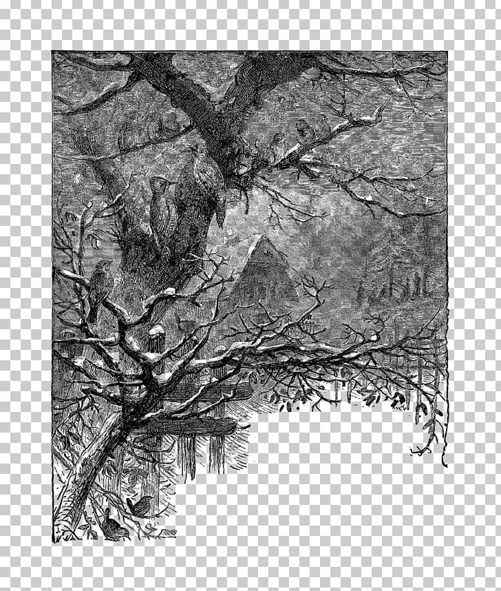 Twig Drawing Wood /m/083vt /m/02csf PNG, Clipart, Black And White, Branch, Drawing, Leaf, M02csf Free PNG Download
