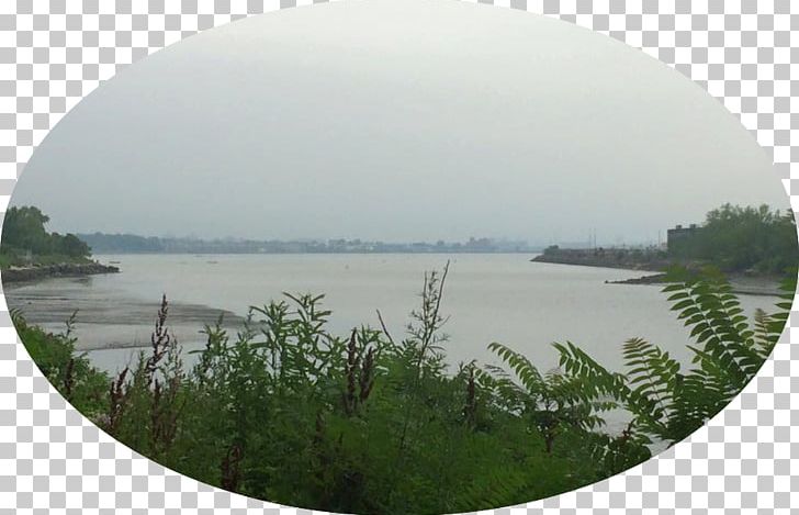 Water Resources Reservoir Tree Sky Plc PNG, Clipart, Lake, Little Krishna, Nature, Panorama, Reservoir Free PNG Download