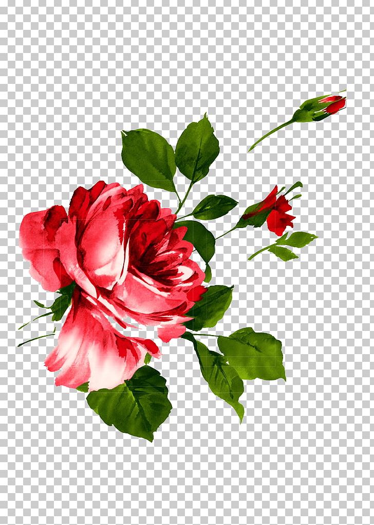 adidas rose flower