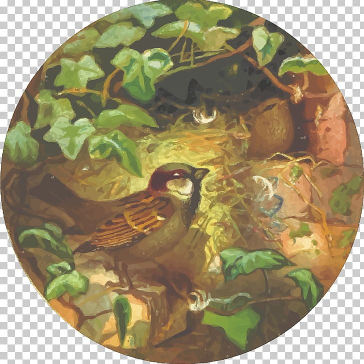 House Sparrow Bird T-shirt PNG, Clipart, Andrew Loomis, Animals, Bird, Bird Nest, Drawing Free PNG Download