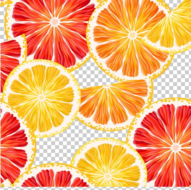 Lemon Grapefruit Orange PNG, Clipart, Background Decoration, Cartoon, Citrus, Food, Fruit Free PNG Download
