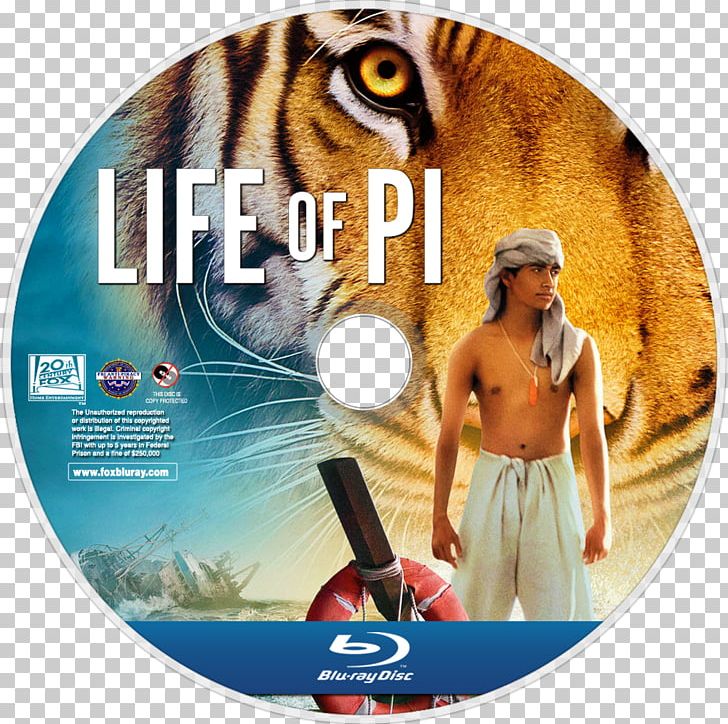 Life Of Pi 1080p Desktop 4K Resolution PNG, Clipart, 4k Resolution, 720p, 1080p, Adventure Film, Bengal Tiger Free PNG Download
