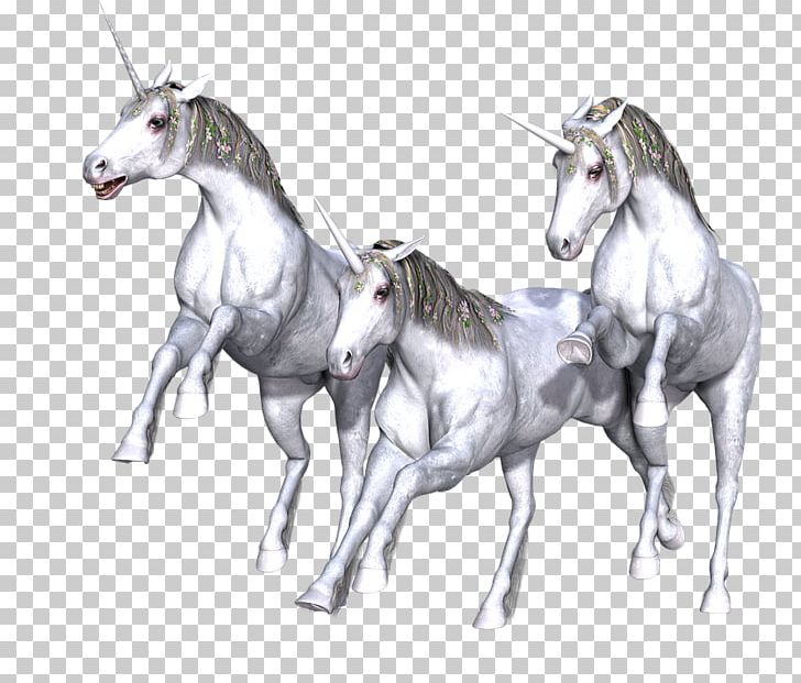 Unicorn Horn Fairy Tale Mythology Horse PNG, Clipart, Drawing, Fairy Tale, Fantasy, Fauna, Fictional Character Free PNG Download