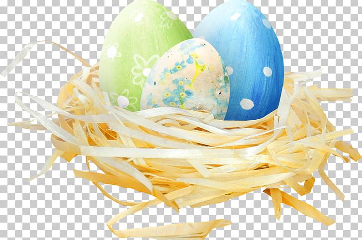 Bird Easter Egg Chicken PNG, Clipart, Animals, Bird, Bird Nest, Chicken, Chicken Egg Free PNG Download