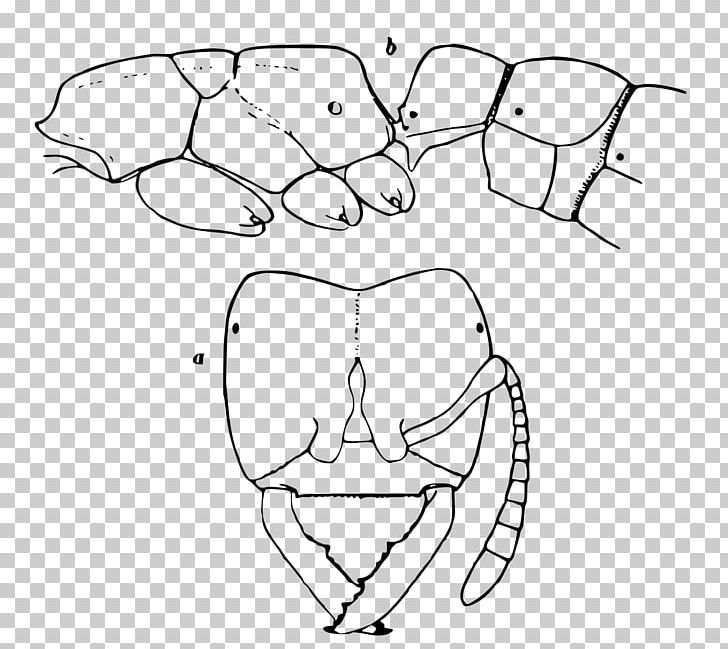 Finger Line Art Mouth Sketch PNG, Clipart, Angle, Arm, Art, Artwork, Black Free PNG Download