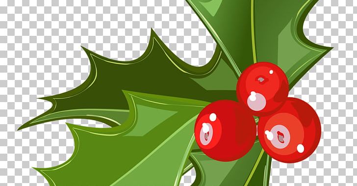 Mistletoe Candy Cane Christmas Phoradendron Tomentosum PNG, Clipart, Aquifoliaceae, Candy Cane, Christmas, Christmas Village, Common Holly Free PNG Download