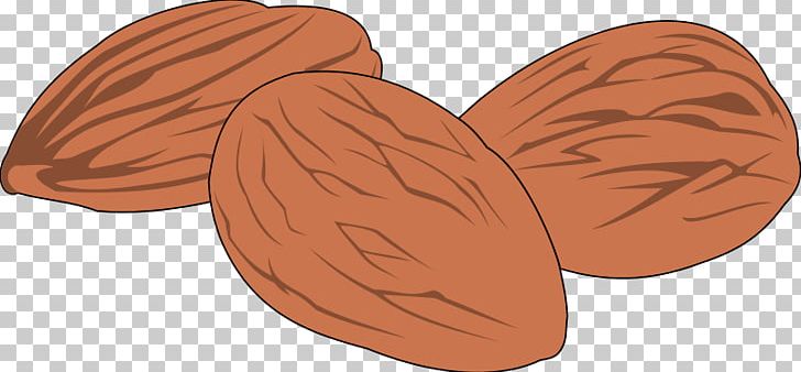 Peanut PNG, Clipart, Acorn, Almond, Commodity, Download, Miscellaneous Free PNG Download