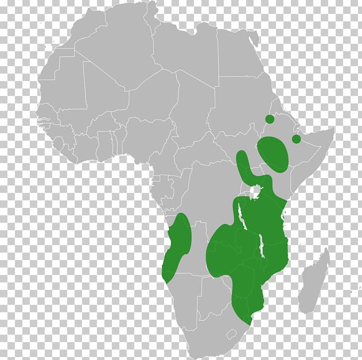 Africa Graphics World Map Globe PNG, Clipart, Africa, Blank Map, Globe, Green, Locator Map Free PNG Download