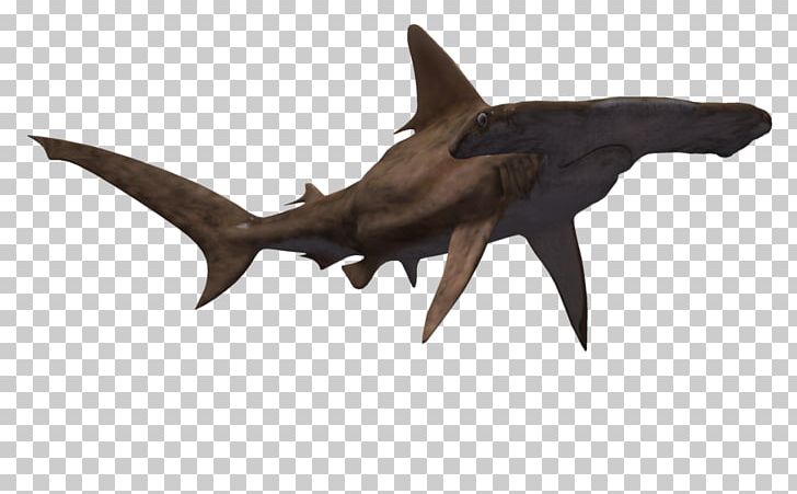 Hammerhead Shark Drawing PNG, Clipart, Cartilaginous Fish, Cartoon, Cartoon Hammerhead Shark, Desktop Wallpaper, Drawing Free PNG Download