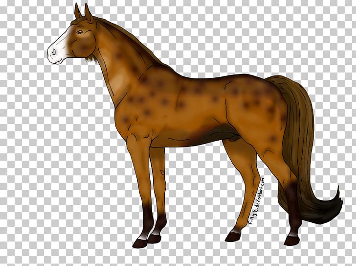 Mustang Foal Stallion Mare Colt PNG, Clipart, Animal Figure, Bluff, Breed, Colt, Foal Free PNG Download