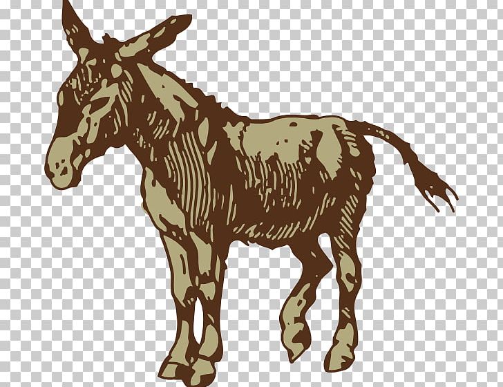 T-shirt Sticker Donkey Jackass Illustration PNG, Clipart, Colt, Donkey, Fauna, Giraffidae, Horse Free PNG Download