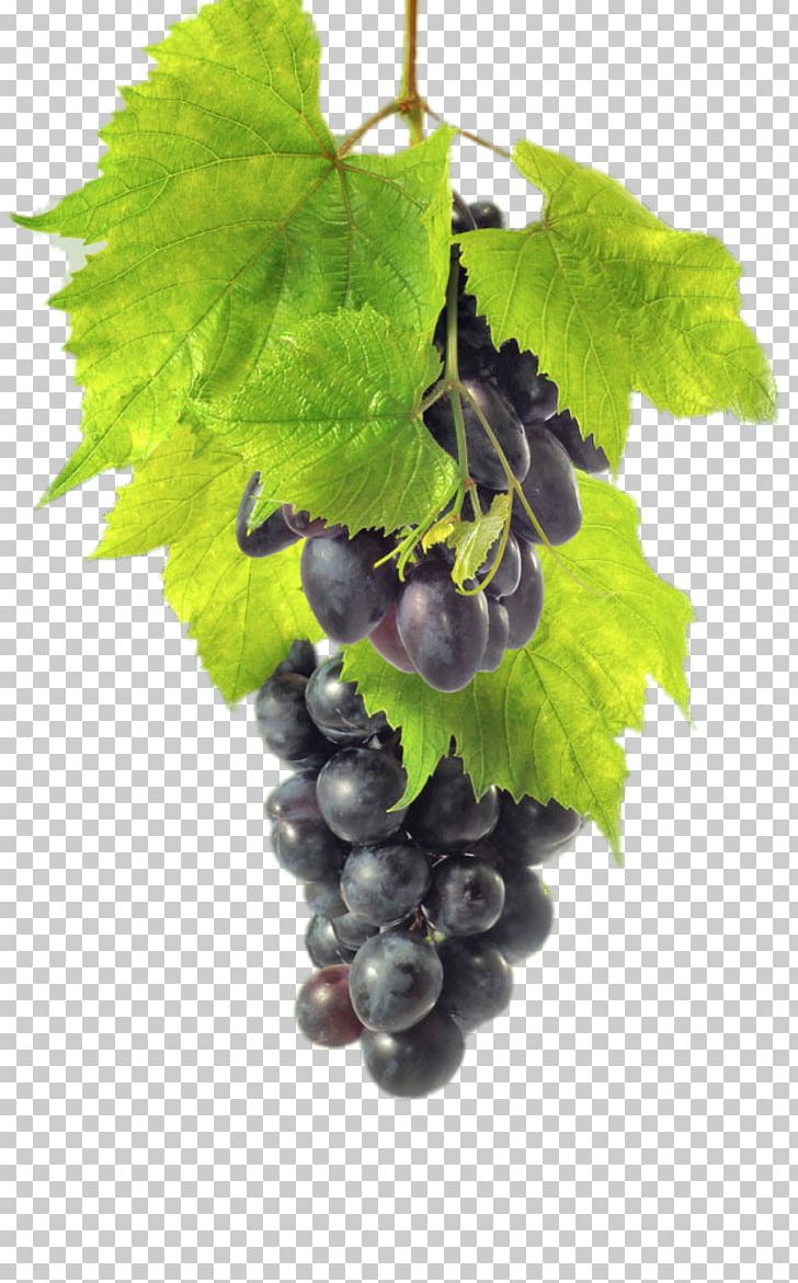 Red Wine Common Grape Vine Zante Currant Auglis PNG, Clipart, Auglis, Black, Black Grapes, Food, Fruit Free PNG Download