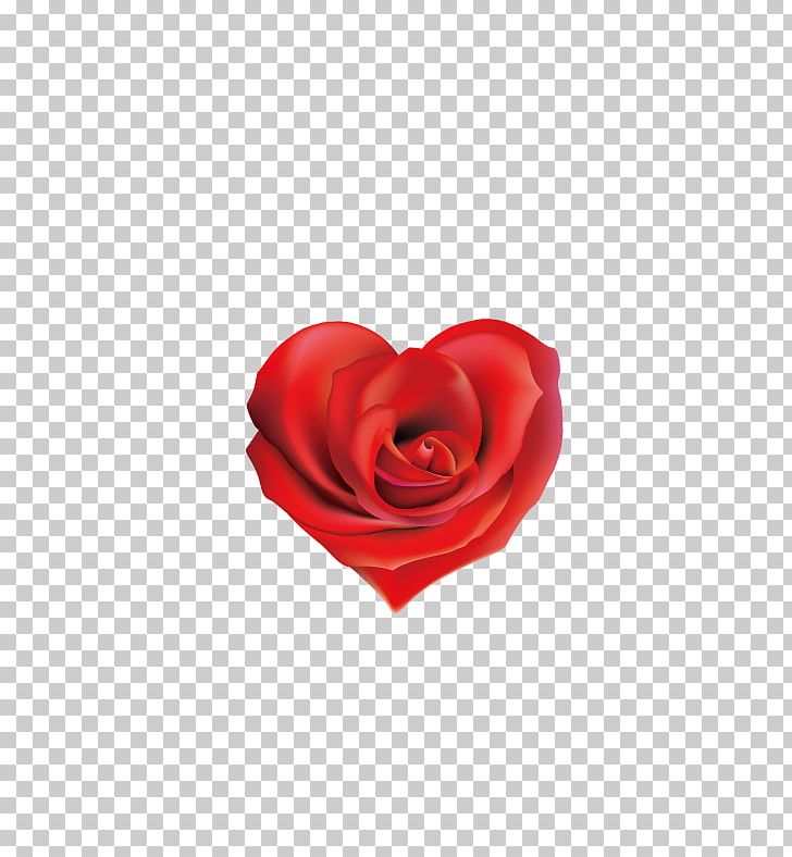 Rose Heart Valentines Day Flower PNG, Clipart, Bud, Euclidean Vector, Flame, Flame Png, Flames Free PNG Download