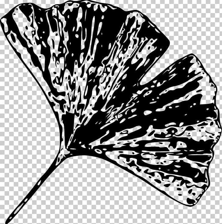 Ginkgo Biloba Leaf Tree Butterfly PNG, Clipart, Black And White, Butterfly, Computer Icons, Flowering Plant, Ginkgo Free PNG Download