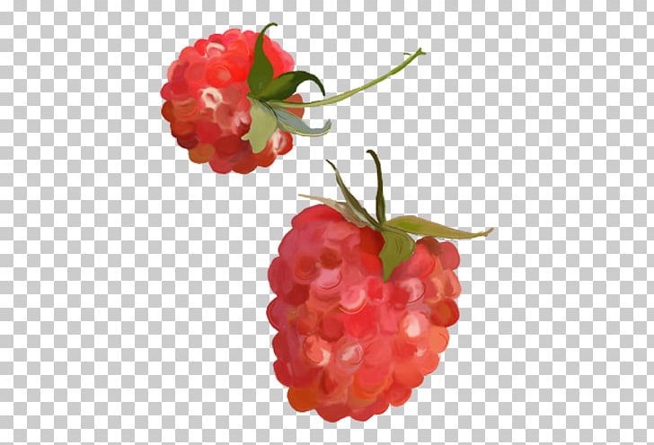 Raspberry Strawberry PNG, Clipart, Auglis, Berry, Cherry, Currant, Download Free PNG Download