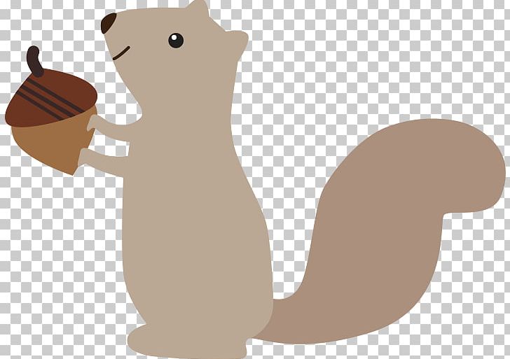Squirrel PNG, Clipart, Animals, Bear, Beaver, Bitmap, Blog Free PNG Download