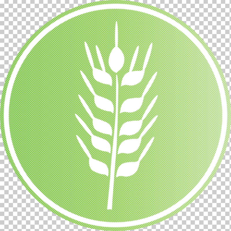 Oats Wheat Oats Logo PNG, Clipart, Biology, Grasses, Leaf, Logo, Oat Free PNG Download