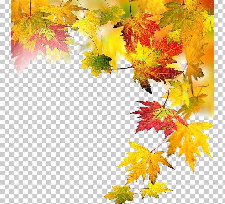 Autumn Leaf Computer File PNG, Clipart, Autumn, Autumn Leaf, Autumn Leaf Color, Branch, Chemical Element Free PNG Download